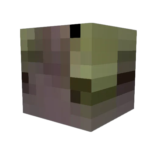 Tyler63293 Minecraft avatar head, 3D render