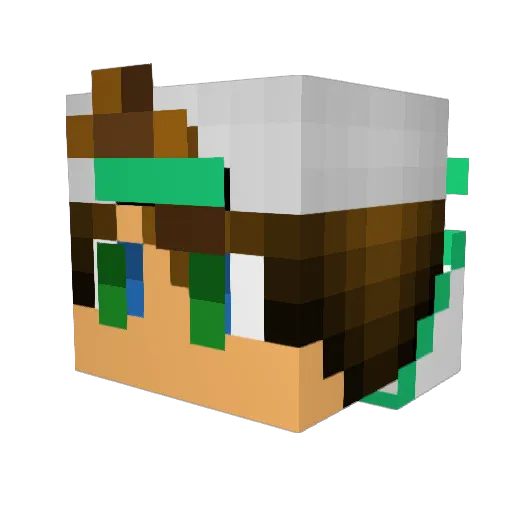 Tyler6743 Minecraft avatar head, 3D render