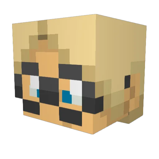 TylerBe Minecraft avatar head, 3D render