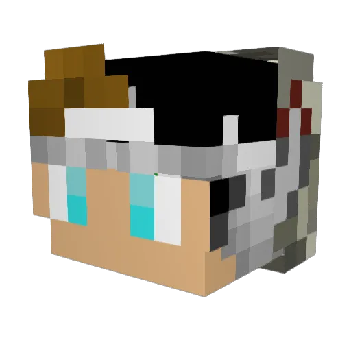 TylerC112002 Minecraft avatar head, 3D render