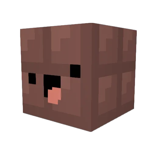 TylerDaCreator_3 Minecraft avatar head, 3D render