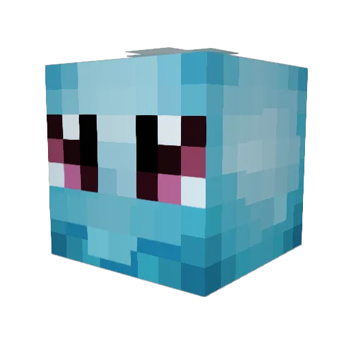 TylerE15 Minecraft avatar head, 3D render