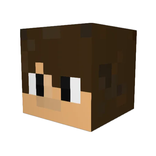 TylerGamingMC Minecraft avatar head, 3D render