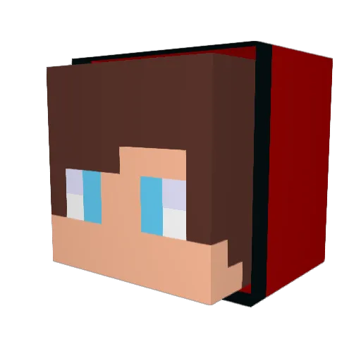 TylerGdog Minecraft avatar head, 3D render