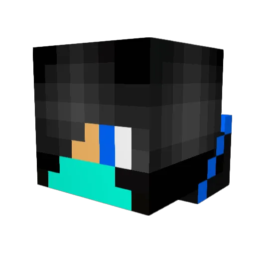 TylerHK Minecraft avatar head, 3D render