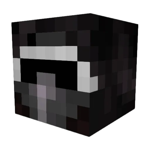 TylerL11 Minecraft avatar head, 3D render
