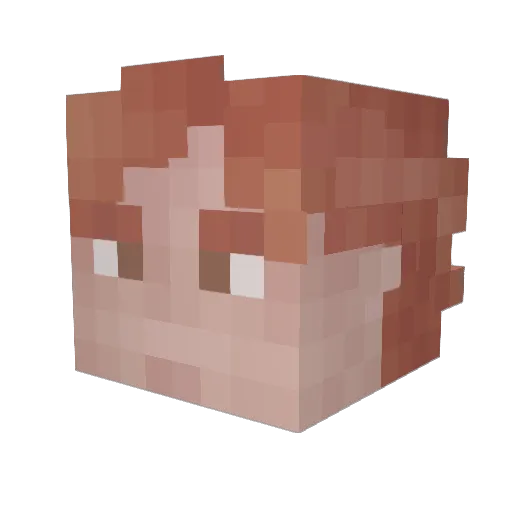TylerLeland Minecraft avatar head, 3D render