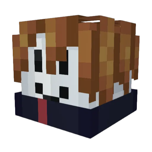 TylerMinecraftFr Minecraft avatar head, 3D render