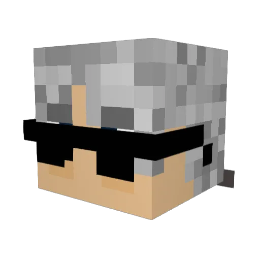 TylerNotCreator1 Minecraft avatar head, 3D render