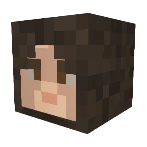 TylerReynolds Minecraft avatar head, 3D render