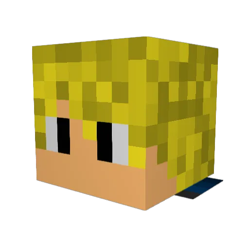 TylerStanley1 Minecraft avatar head, 3D render