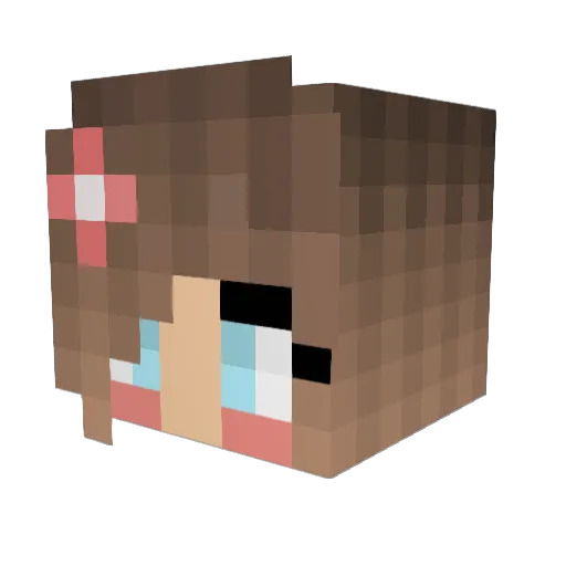 TylerTheKid5 Minecraft avatar head, 3D render