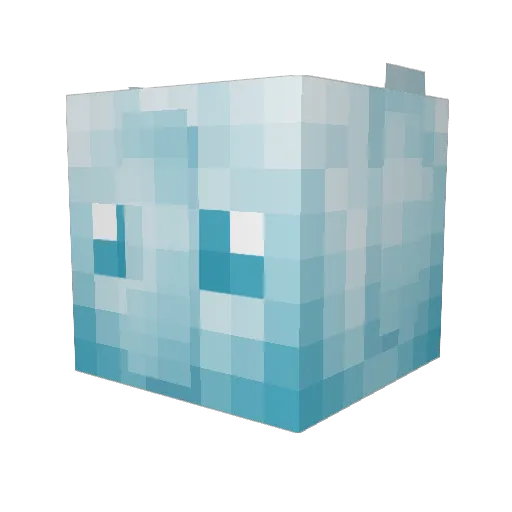TylerTheeCratorr Minecraft avatar head, 3D render