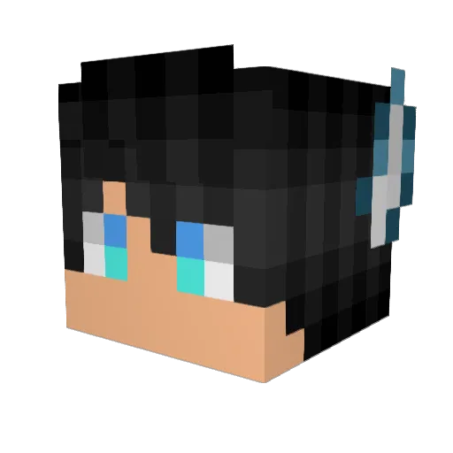 TylerWC00 Minecraft avatar head, 3D render