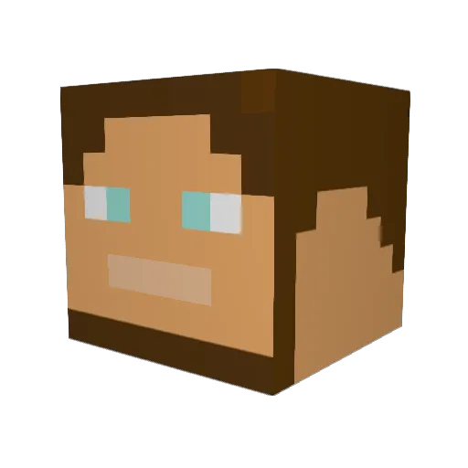 Tyler_Adrenaline Minecraft avatar head, 3D render