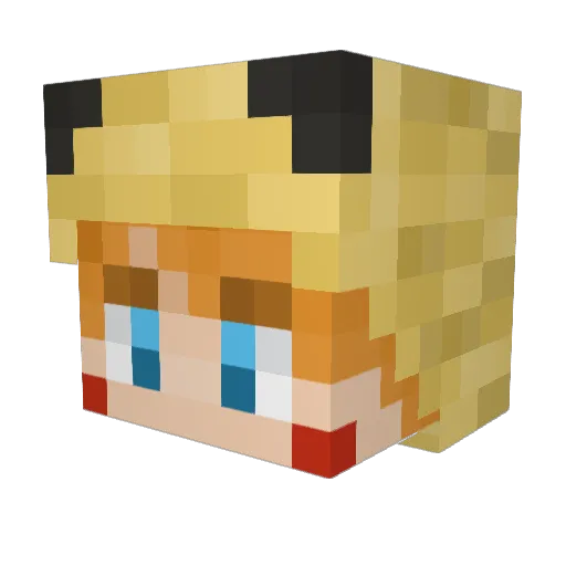 Tyler_Nova Minecraft avatar head, 3D render