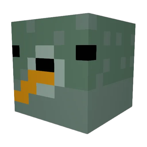 Tyler_Sanders15 Minecraft avatar head, 3D render