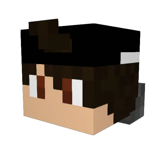 Tyleraaaaaaa Minecraft avatar head, 3D render