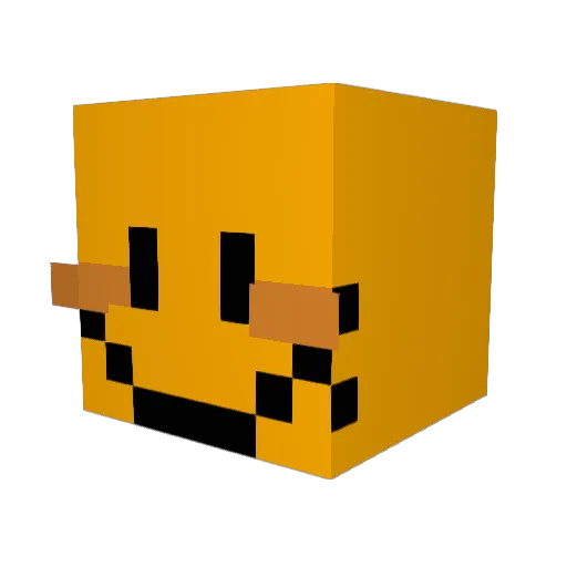 Tylercm2011 Minecraft avatar head, 3D render