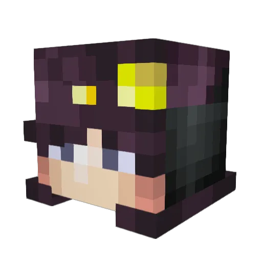 Tylere92 Minecraft avatar head, 3D render
