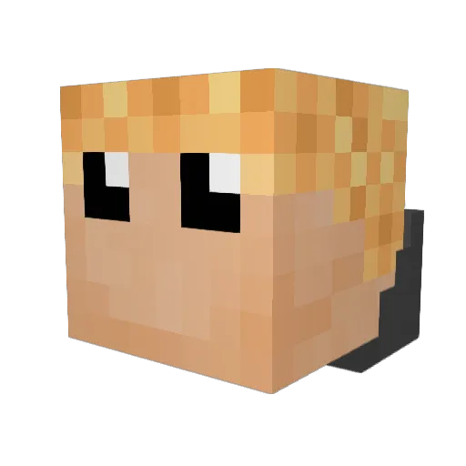 Tylerebowers Minecraft avatar head, 3D render