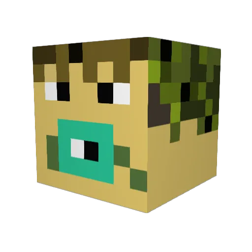 Tylergo42 Minecraft avatar head, 3D render
