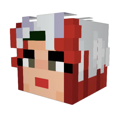 Tylerisannoying Minecraft avatar head, 3D render