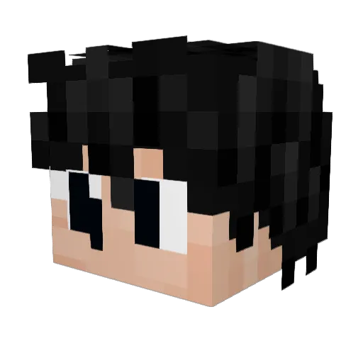 Tylerman129 Minecraft avatar head, 3D render