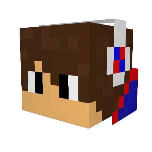 Tylers_Hope Minecraft avatar head, 3D render