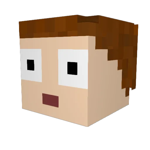 Tylertinyt24 Minecraft avatar head, 3D render