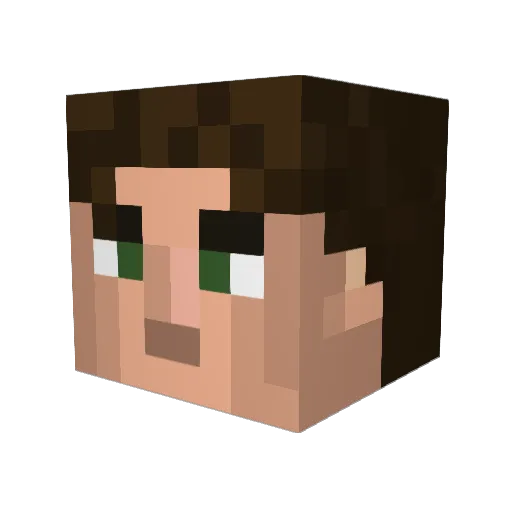 Tylerw309 Minecraft avatar head, 3D render