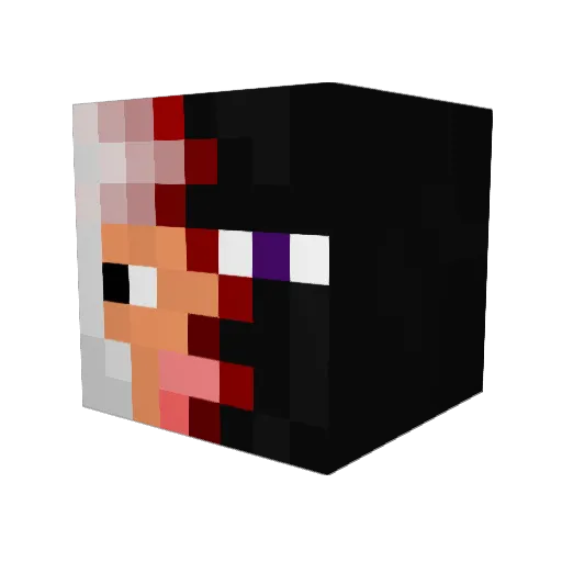 Tylerw606 Minecraft avatar head, 3D render