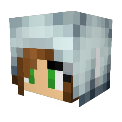 Tylerxxday Minecraft avatar head, 3D render