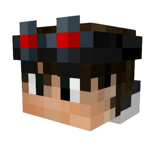 Tylerzilla6764 Minecraft avatar head, 3D render
