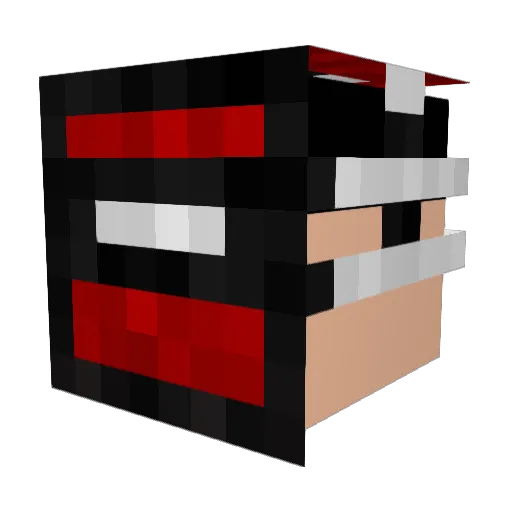 Tyleulen007 Minecraft avatar head, 3D render