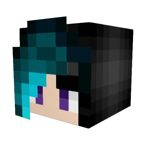 Tylinator197 Minecraft avatar head, 3D render