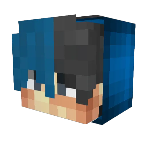 Tylller Minecraft avatar head, 3D render