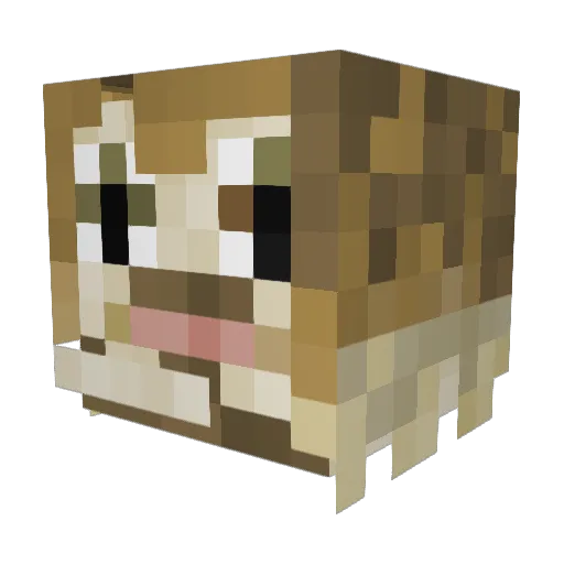 Tylord666 Minecraft avatar head, 3D render