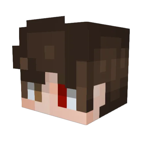 TylordYourLord Minecraft avatar head, 3D render