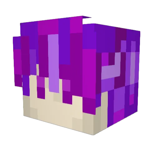 Tym9 Minecraft avatar head, 3D render