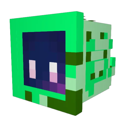 TymTymik Minecraft avatar head, 3D render