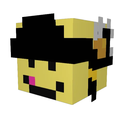 Tymbrak3 Minecraft avatar head, 3D render