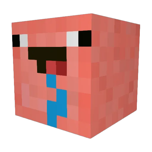 Tyme1709 Minecraft avatar head, 3D render