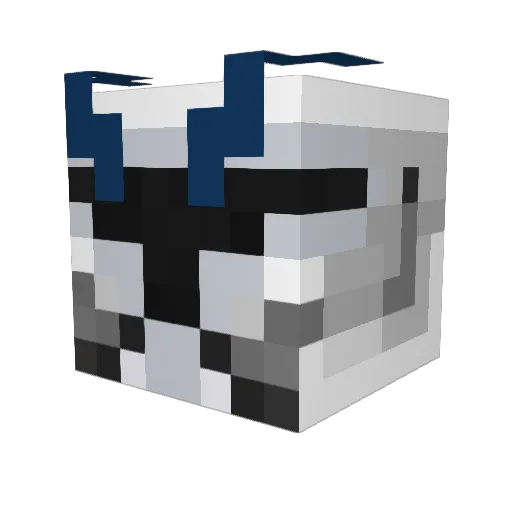 Tymek2608 Minecraft avatar head, 3D render