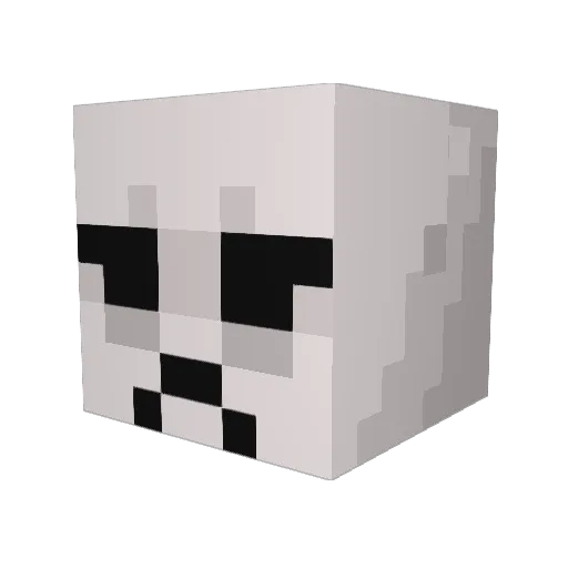 Tymol123 Minecraft avatar head, 3D render