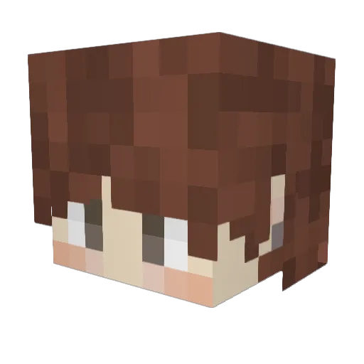 Tymon0Ciastek0 Minecraft avatar head, 3D render