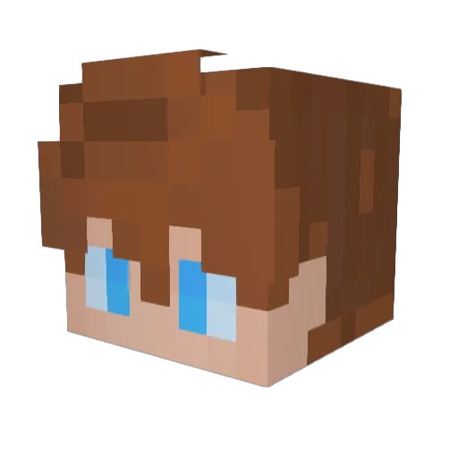 Tymon1213 Minecraft avatar head, 3D render
