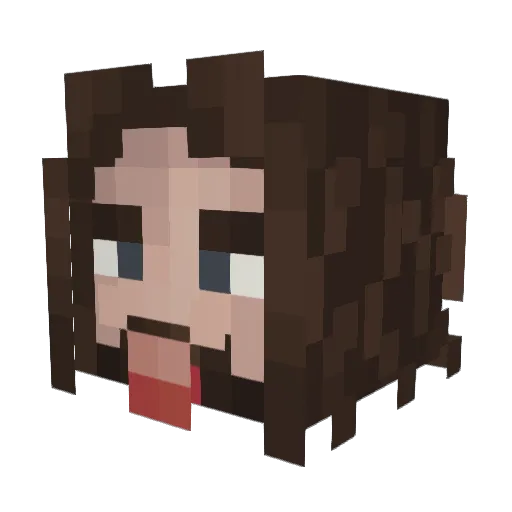 Tymon137 Minecraft avatar head, 3D render