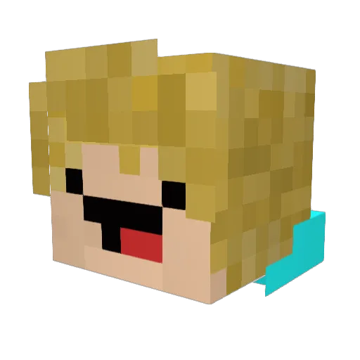 Tymon916 Minecraft avatar head, 3D render