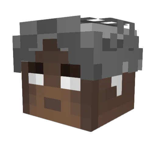 TymonPtak Minecraft avatar head, 3D render